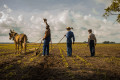 mudbound