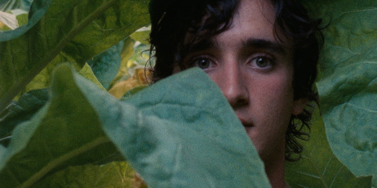 lazzaro felice