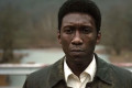 true detective 3