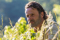 the walking dead