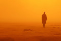roger deakins