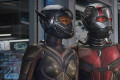 ant man and the wasp