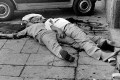 camorra