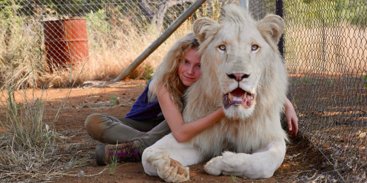 mia e il leone bianco