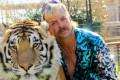 tiger king