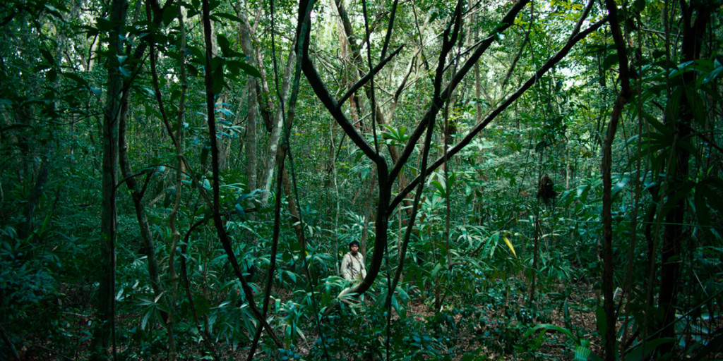 Selva Tragica 