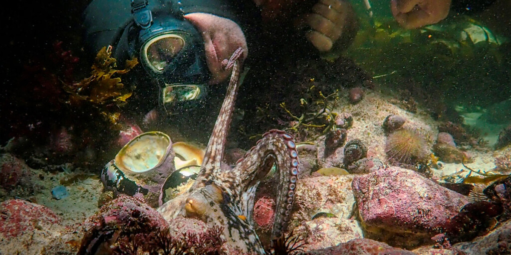 Il Mio Amico in Fondo al Mare